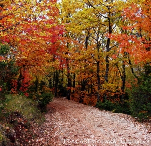 Esplosione di colori autunnali