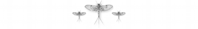 mayfly-triade-650