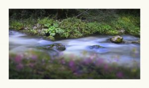 Fiume Corno - Valnerina