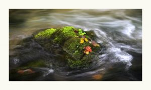 Fiume Nera - Valnerina