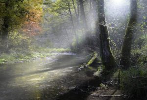 fiume corno