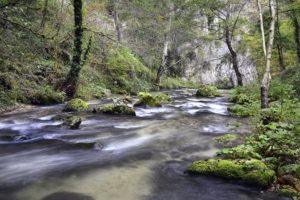 fiume Corno
