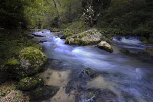 Corno