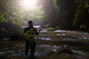 Salvatore_DSC5663