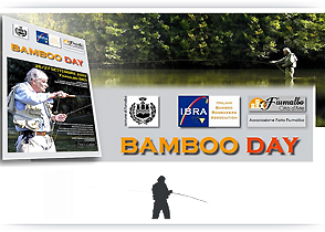 bamboo day ibra 2020