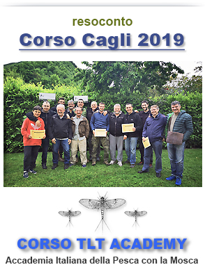 Widget-corso-giugno