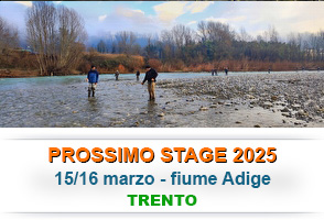 prossimo-stage-widget