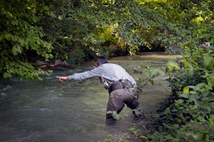 Il direttore Fabio Bargi
