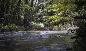 Fiume Nera
