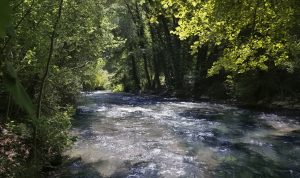 Fiume Nera